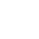 icon white